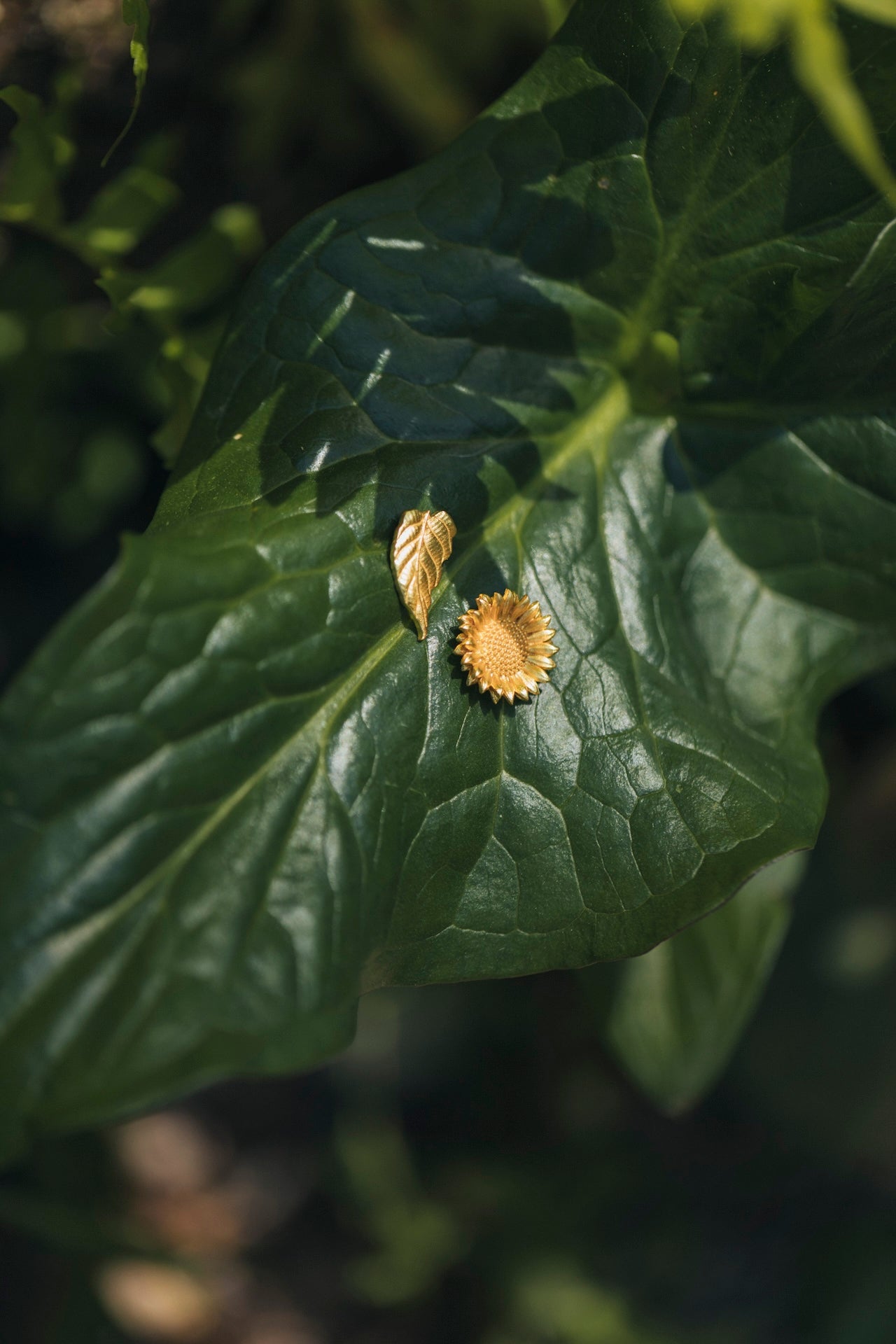 Brincos Sunflower Leaves