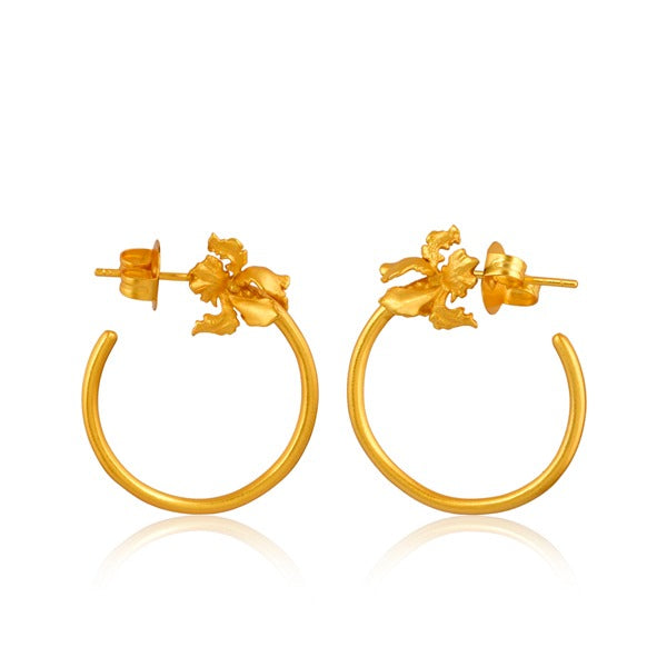 Pendientes Lupina