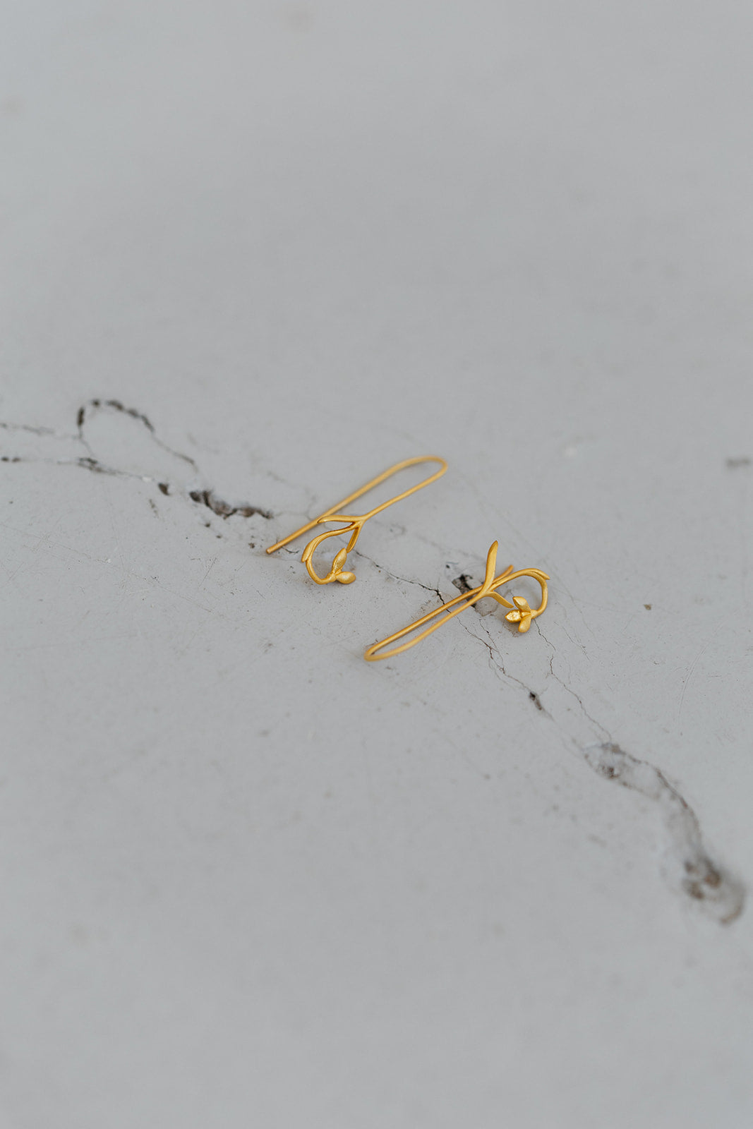 Brincos Caligo