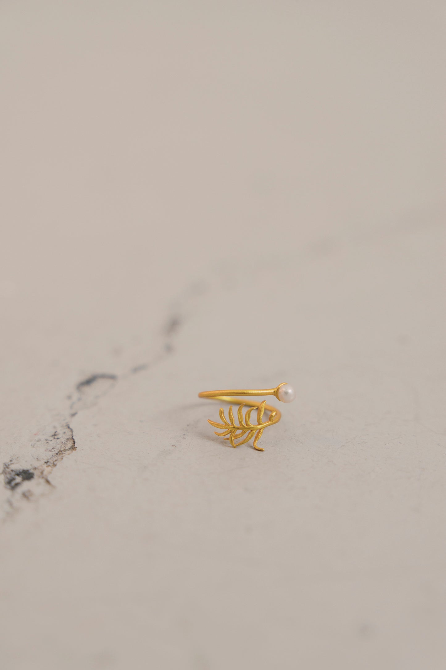 anillo kei